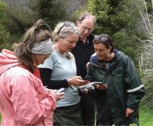 Community group members and representatives from Mountains to the Sea Wellington worked with Peter Handford from Groundtruth to have a play with the new app for uploading citizen science data [Photo credit: Richard Storey]