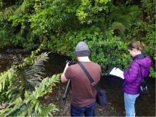 Greater Wellington Regional Council communication team getting their feet wet while filming SHMAK instructional videos in the Kaiwharawhara stream in October, 2018 [Photo credit – Amanda Valois]
